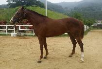 �ְ�����̹� (CHOEGANG DRIVER) ����