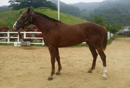 �ְ�����̹� ����