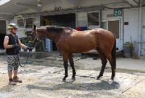 �󺻺� (NONGBON BONG) ����