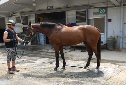 �󺻺� ����