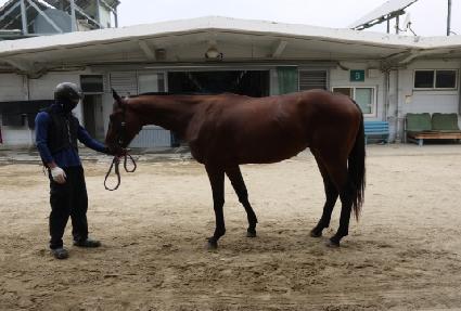 ����ζ� ����