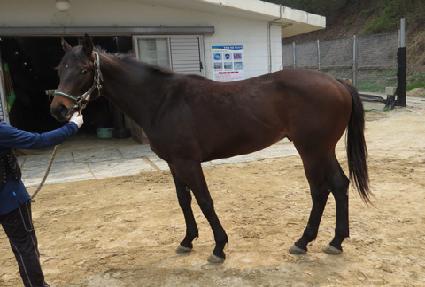 �����²� ����