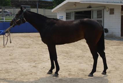 �ϵ�� ����