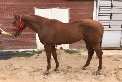 �����̺��� ����