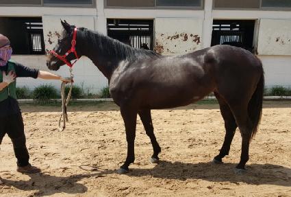 ��Ƽ���� ����