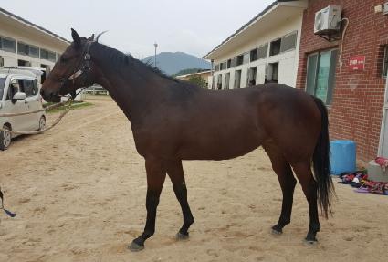 ��ƼǮ��Ʈ ����