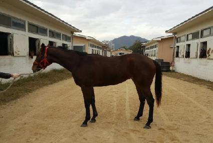 �ҳ�Ÿ�� ����