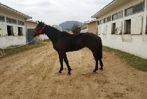 ���忢�� (WORLD EX) ����