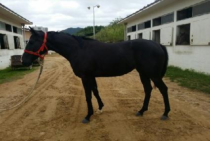 ����Ǯ�޸� ����