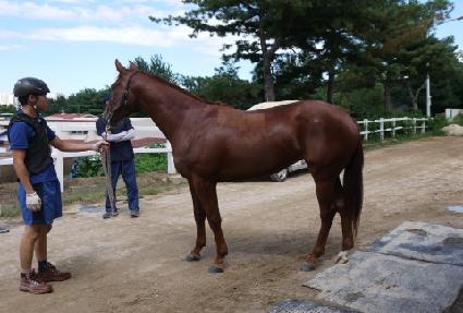 ������ ����