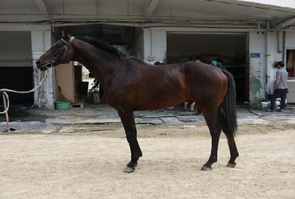 ����ְ� ����