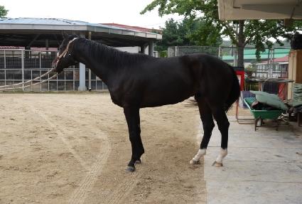 �����п� ����