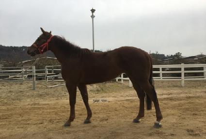 ü����ĭ ����