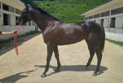 ���̳��ͺ�Ʈ ����