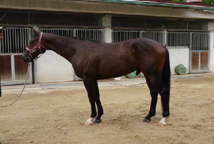 ����è�� ����