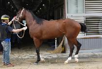 û��ô� (CHEONG UN SIDAE) ����