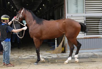 û��ô� ����