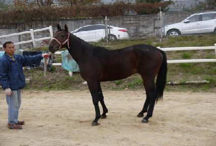 �������� ����