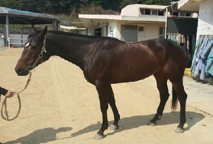 ���ǵ忩�� ����