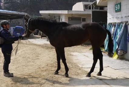 ����Ÿ�� ����