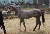 OJEI MYEONGDAB picture