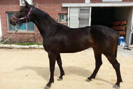 ��ä ����