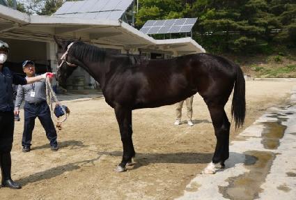 ����Ʈä�� ����