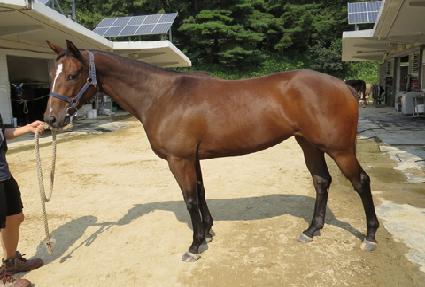 �ʷ����� ����