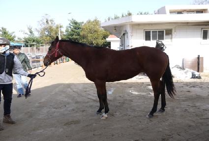 ���帮�� ����