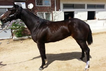 ����Ǯ�޸� ����