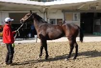 YEONGGWANGUI SIGAN picture