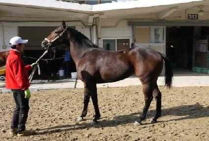 �����ǽð� ����