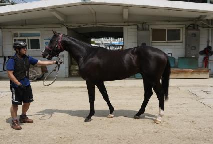 ���о�ٿ� ����