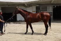 ���� (DEOGI) ����