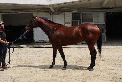 ���� ����