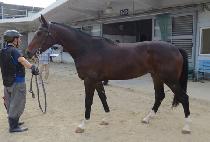 �븮�� (VALLEY MOON) ����