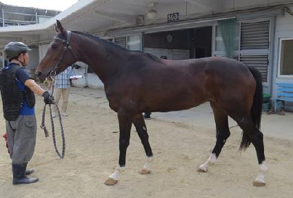 �븮�� ����