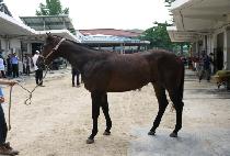 �����Ǽ��� (YEOKJEONUI SUNGAN) ����