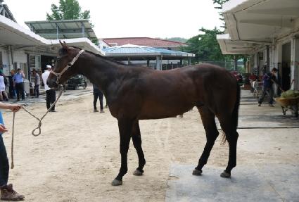 �����Ǽ��� ����