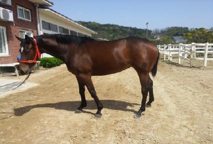 �����ɾ� ����