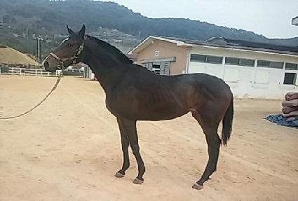 ����ູ ����