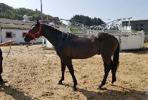 MUNHWA DAERO picture