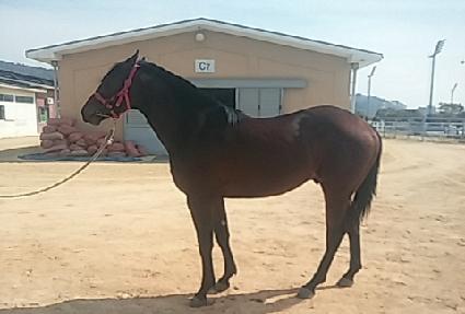 �����ũ ����