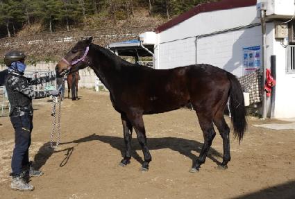 �¸��ǿ��� ����