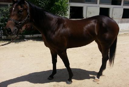 ū���� ����