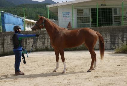 Ŭ�����屺 ����