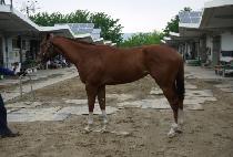 �����ְ� (YEOKDAE CHOEGANG) ����