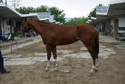 �����ְ� ����