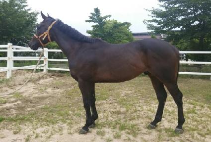 ���¾� ����