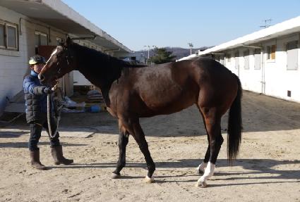 �Ƹ����� ����